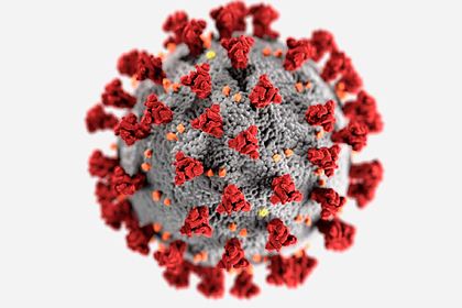 Найден способ предотвратить осложнения от коронавируса