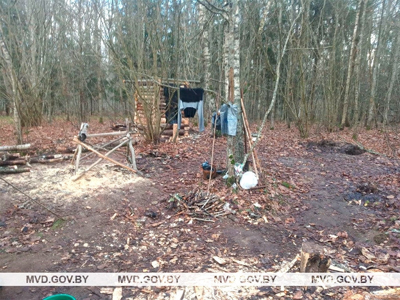 В Белоруссии семья больше двух месяцев пряталась в лесу от "чипирования" (ФОТО)
