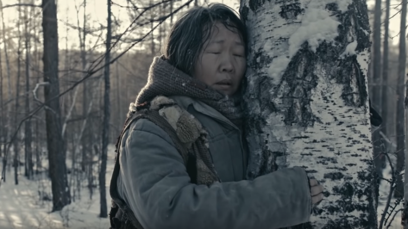Режиссеры объяснили феномен «якутского Голливуда»
