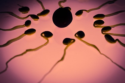 Ученые обнаружили сперматозоиды-убийцы