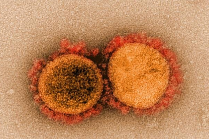 Разработан новый подавляющий коронавирус препарат
