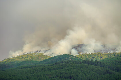 Человечеству предрекли неминуемую глобальную катастрофу