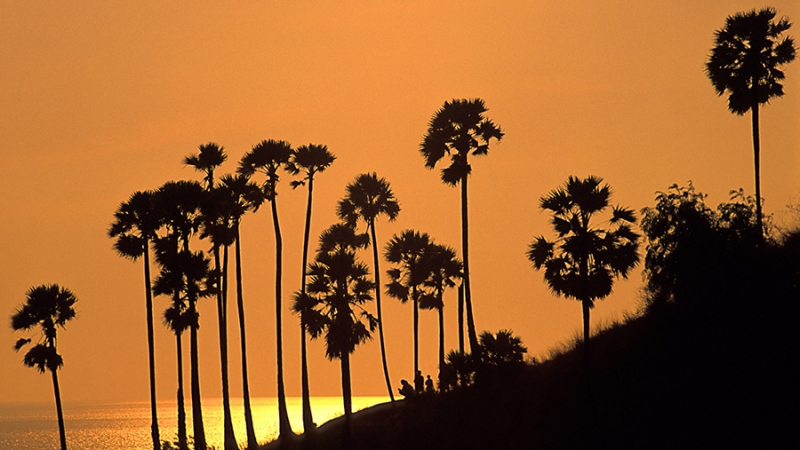 Аналитики представили рейтинг самых дорогих туров 2021 года