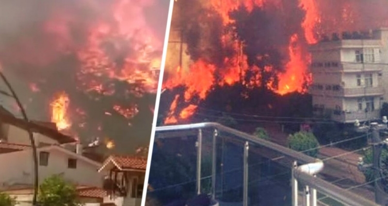 В Анталии вспыхнул лесной пожар и сгорел отель