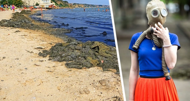 Вонь на пляжах в Таиланде возникла не из-за разлива нефти: названа истинная причина невозможности купаться