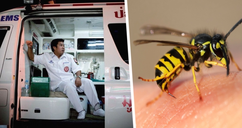 Турист умер после укуса пчелы на Пхукете