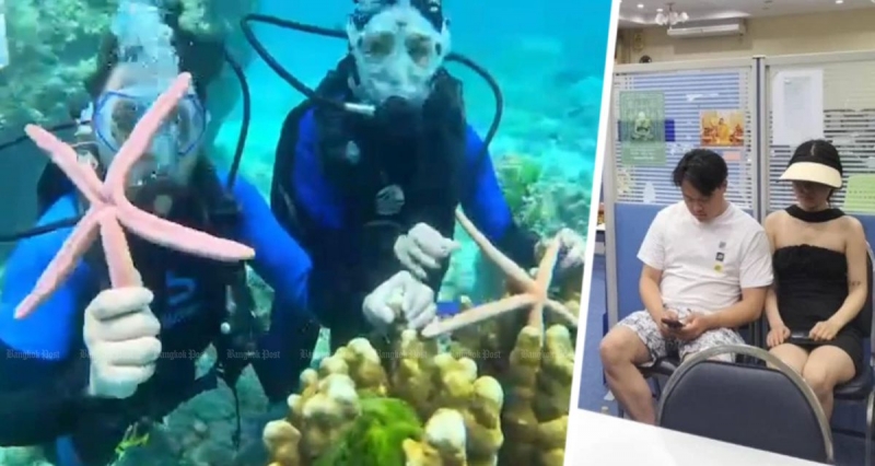 Туристы арестованы на Пхукете за прикосновение к морским звездам и кораллам
