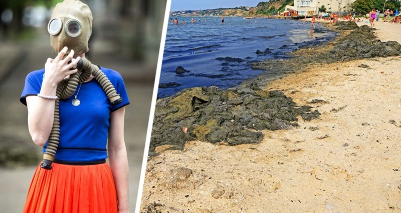 Отдых под угрозой: популярные пляжи забило «вонючими» водорослями, туристы не заходят в море