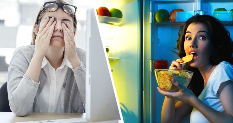 Российская туристка познакомилась в Новой Зеландии с врачом и была очень удивлена, изучив содержание его холодильника