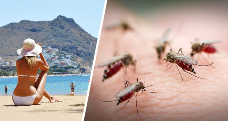На популярных курортах Средиземноморья замечены комары-переносчики опасных болезней: власти сбрасывают пестициды с вертолетов в отчаянной попытке их уничтожить