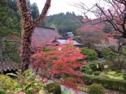 Выбор экскурсионного тура: как не ошибиться?