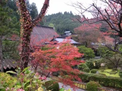 Выбор экскурсионного тура: как не ошибиться?