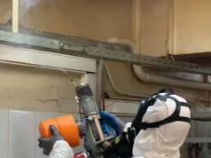 Службы травли клопов: уничтожение холодным туманом — эффективно и безопасно