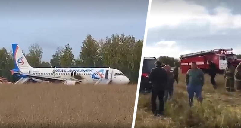 Неожиданно: названа судьба самолета, аварийно севшего под Новосибирском в чистое поле