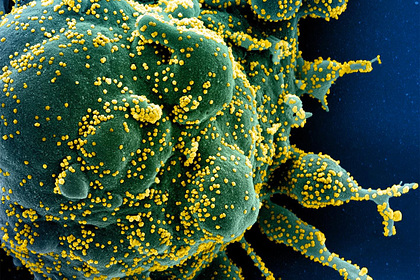 Зафиксированы новые бессимптомные случаи передачи коронавируса